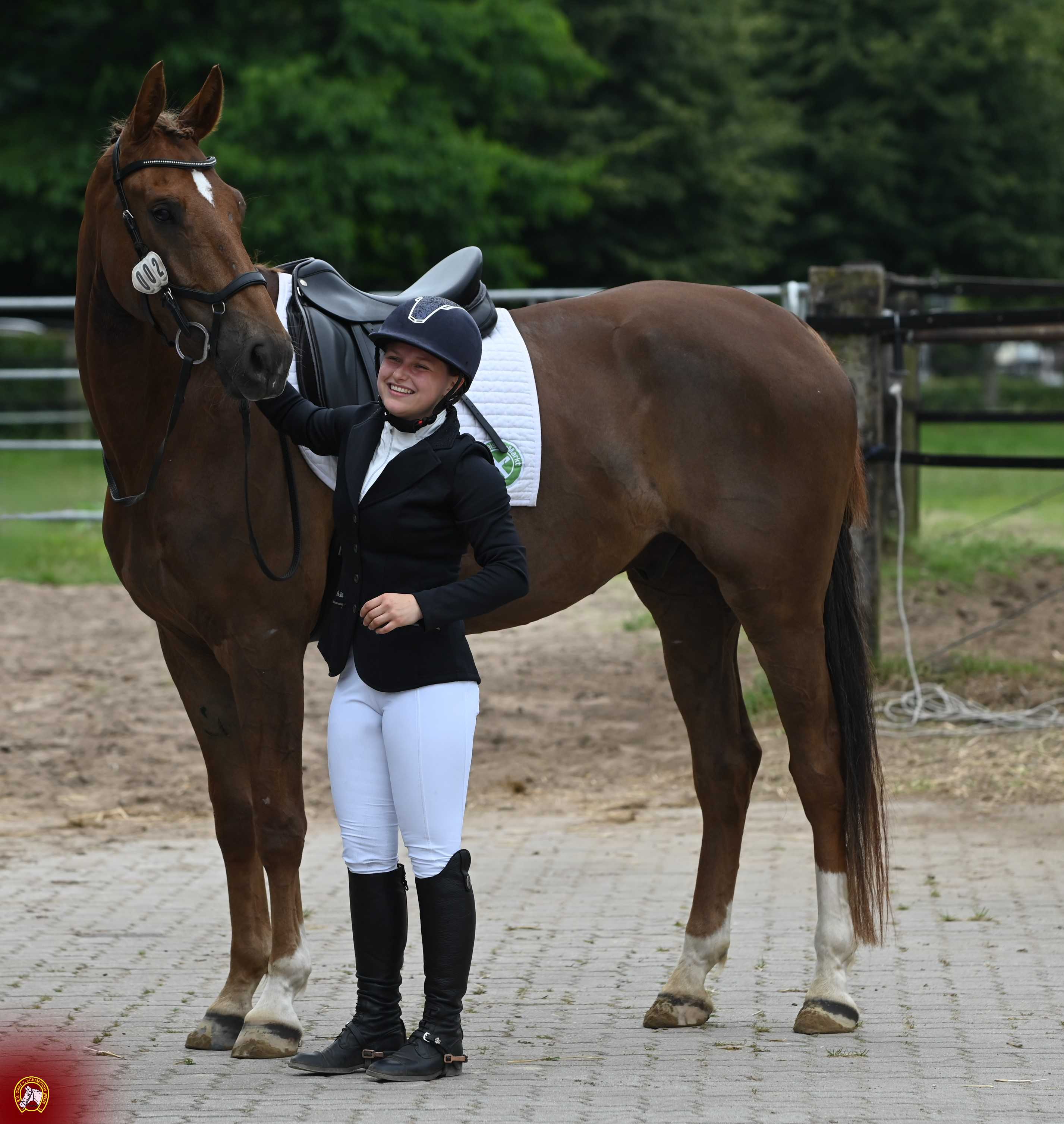Bild