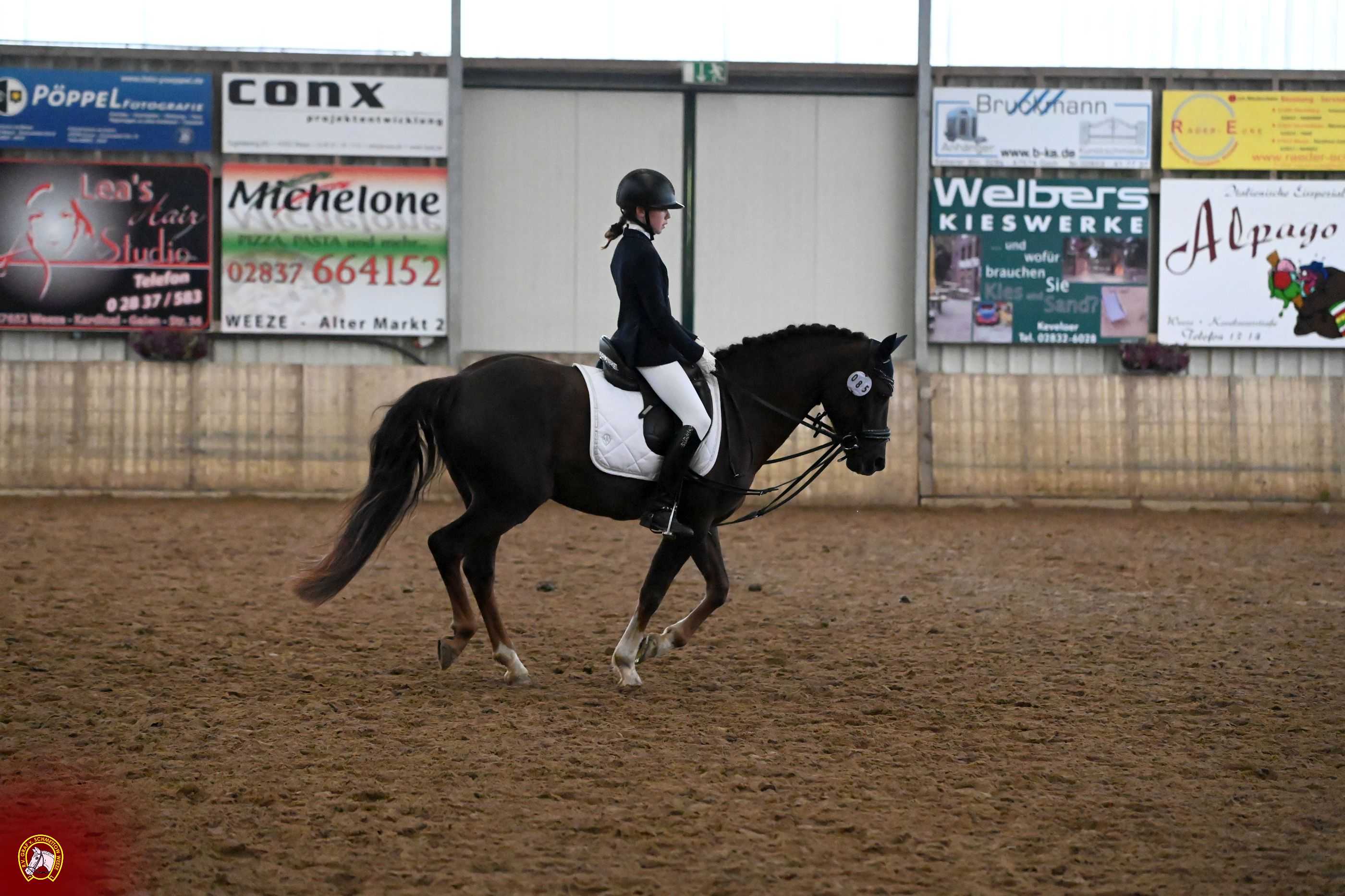 Bild