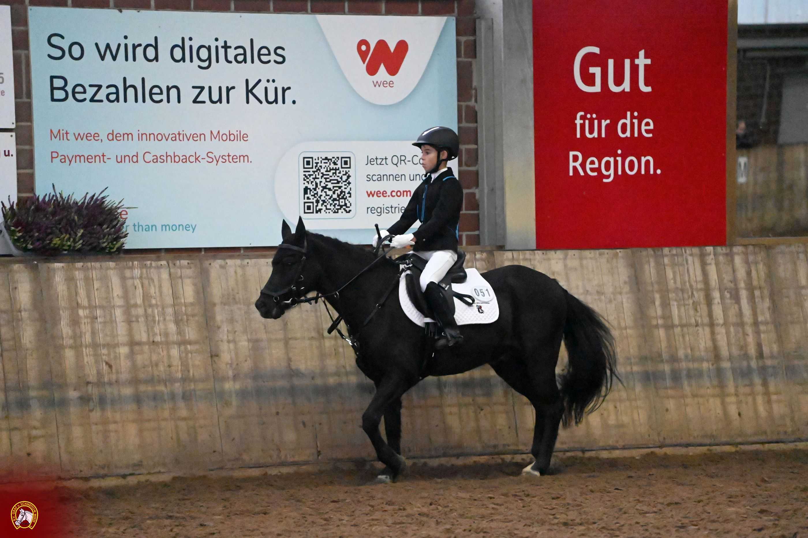 Bild